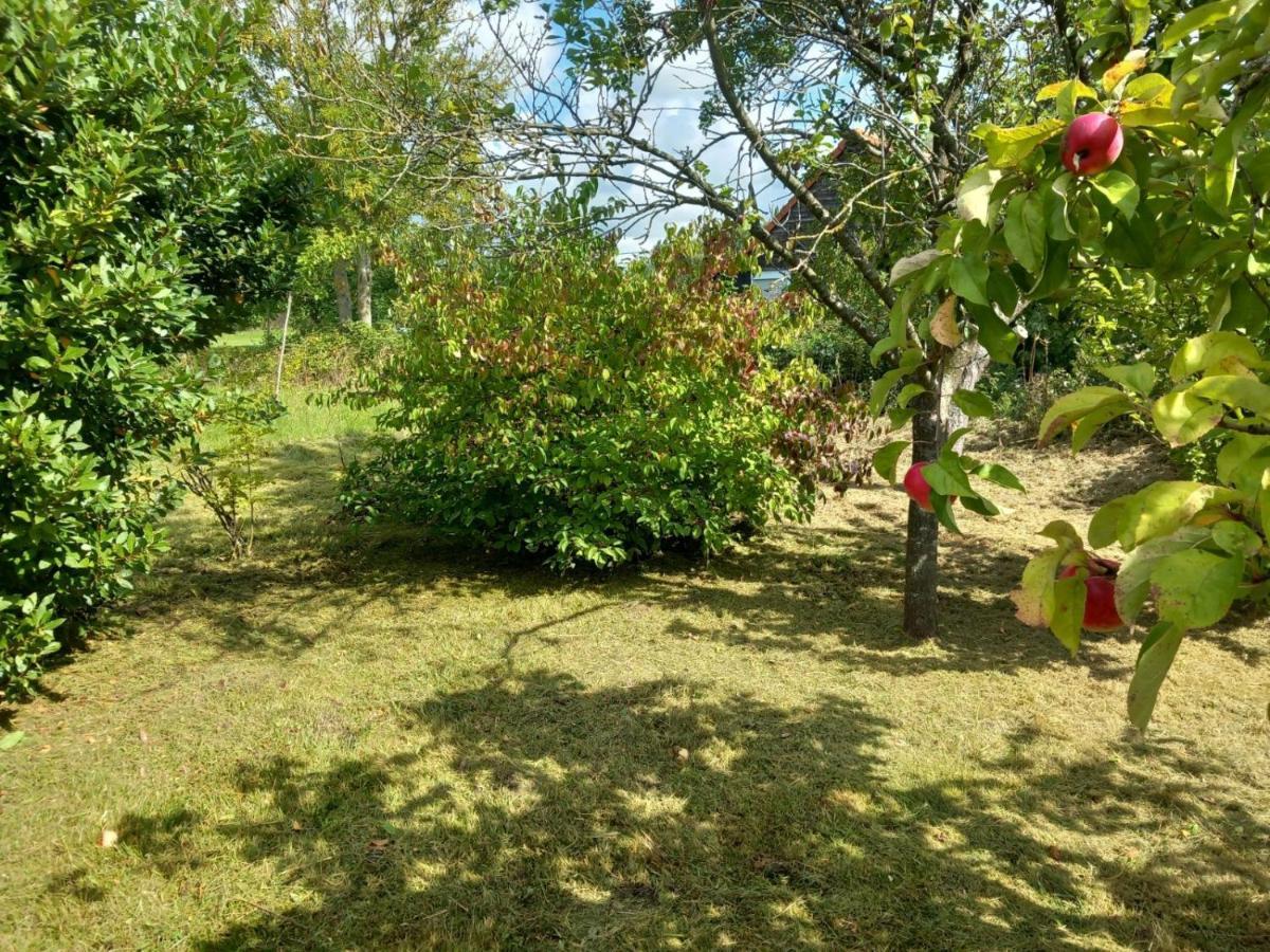Le Jardin Secret Villa Saint-Omer  Ngoại thất bức ảnh